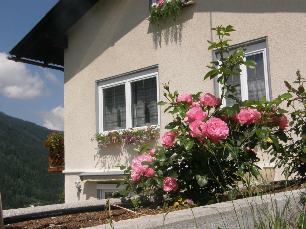 Ferienwohnung Brennseeblick Feld am See Εξωτερικό φωτογραφία